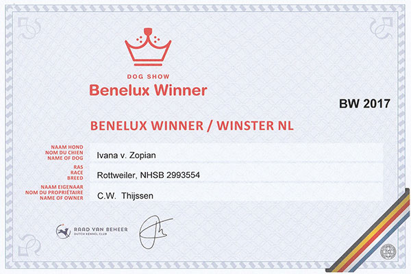 certificaat Beneluxwinster Ivana