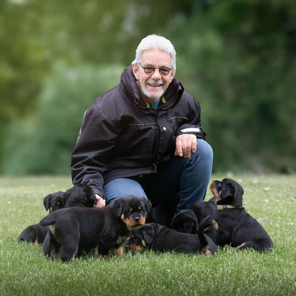 puppy-update-week-7