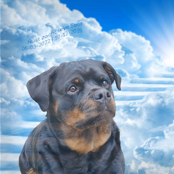 overlijden-soof-van-zopian