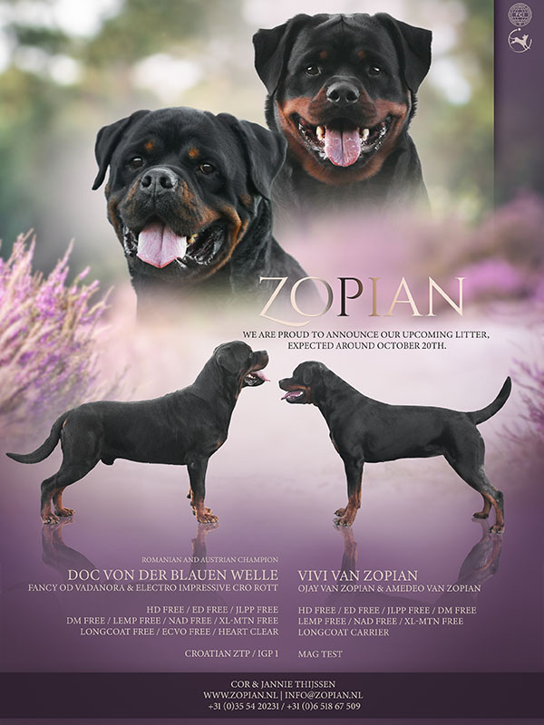 puppy-s op komst