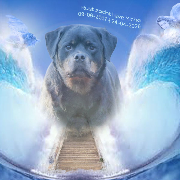 moon-micha-van-zopian