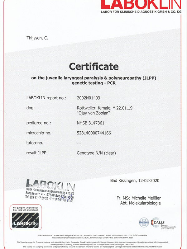 certificaat JLPP uitslag Ojay