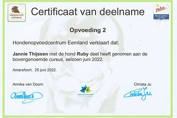 certificaat opvoeding-2-Ruby