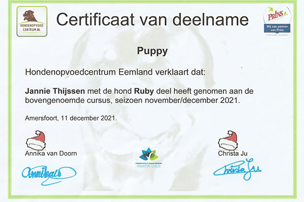 certificaat-puppy-Ruby