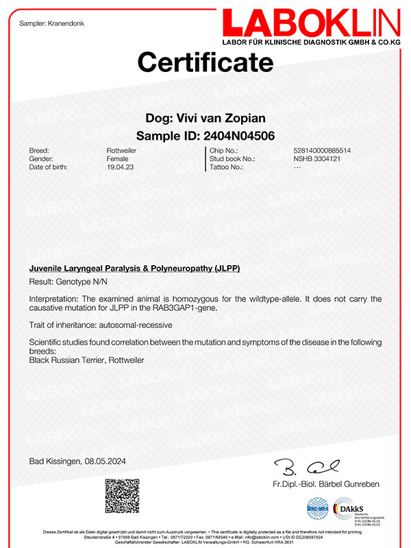 certificaat-jlpp-vivi