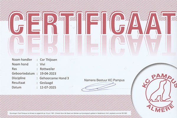 certificaat-gh3-vivi