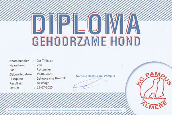 diploma-gh3-vivi