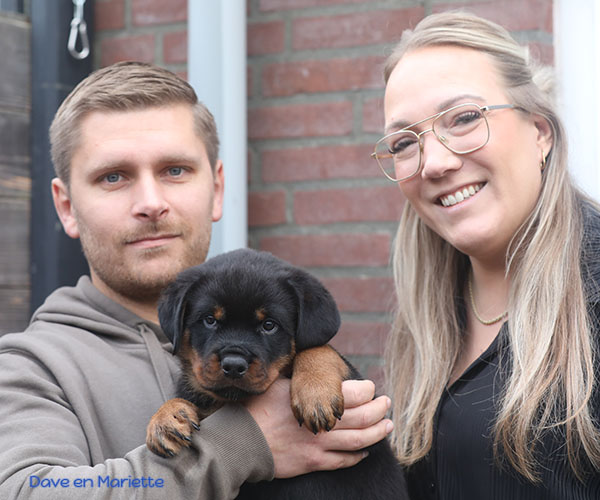 a2-nest week 8 pupfoto 8zg