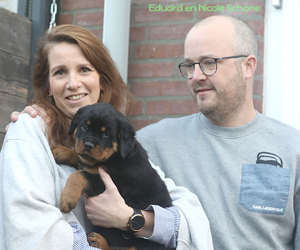 a2-nest week 8 pupfoto 8zi