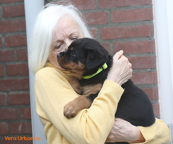 a2-nest week 8 pupfoto 8zu