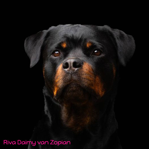 Riva-Daimy-van-Zopian