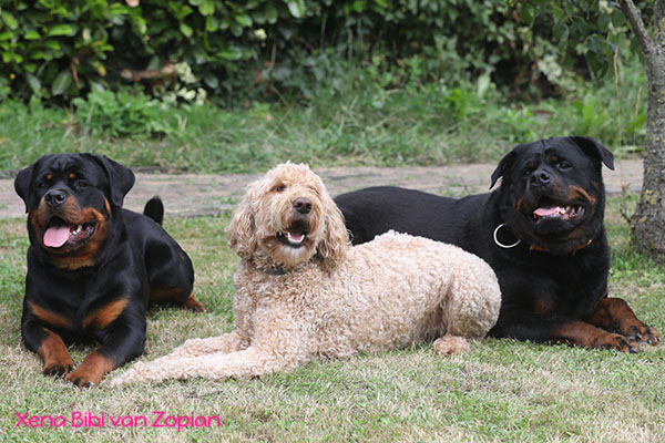 xena-bibi-van-zopian