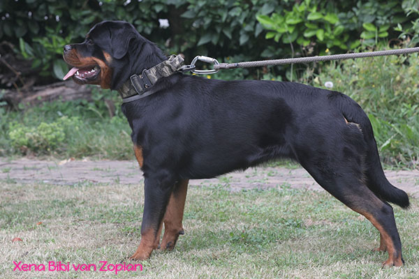 xena-bibi-van-zopian