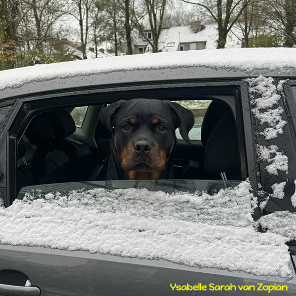 ysabelle-sarah-van-zopian