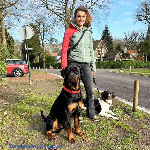 zurxes-odin-van-zopian