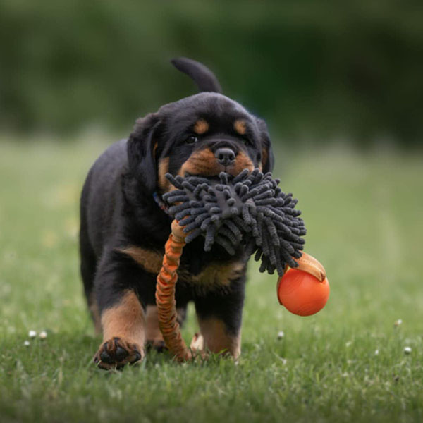 Z-nest week 7 pupfoto 7c