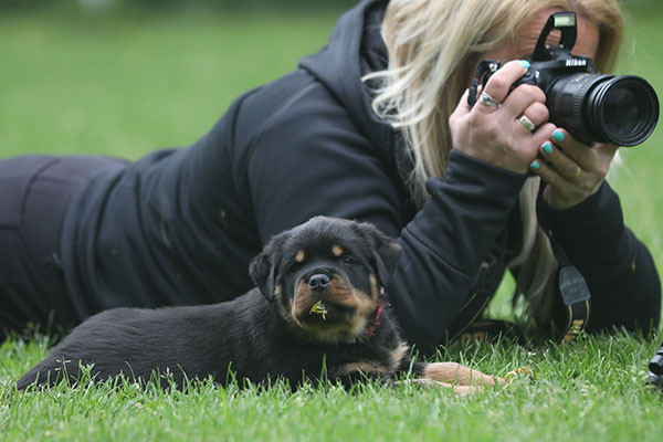 Z-nest week 7 pupfoto 7k