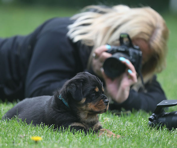 Z-nest week 7 pupfoto 7q