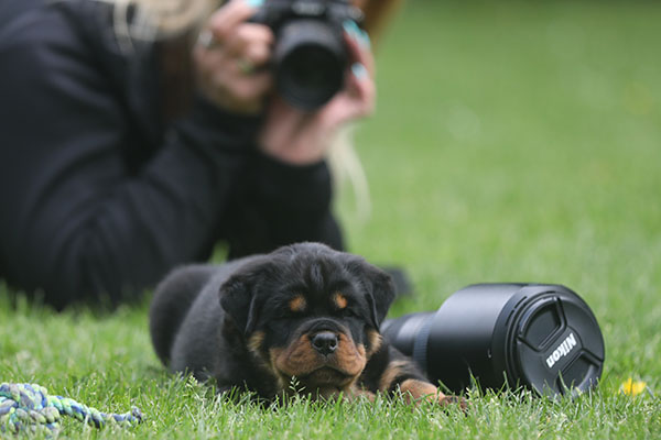Z-nest week 7 pupfoto 7yy