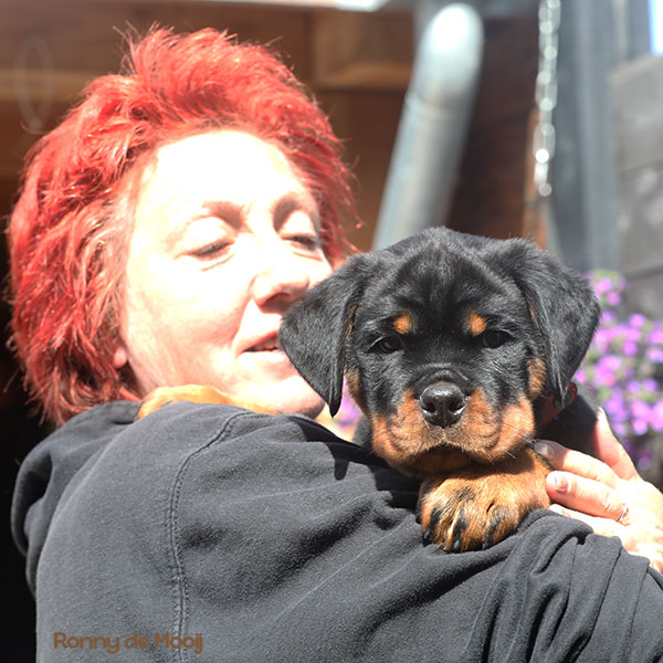 Z-nest week 8 pupfoto 8z